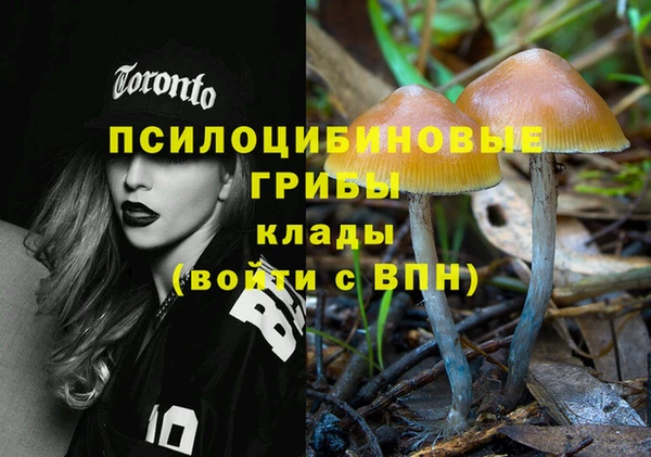 дмт Аркадак