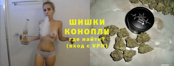 дмт Аркадак