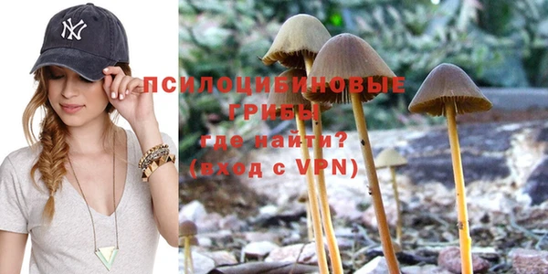 ешки Армянск